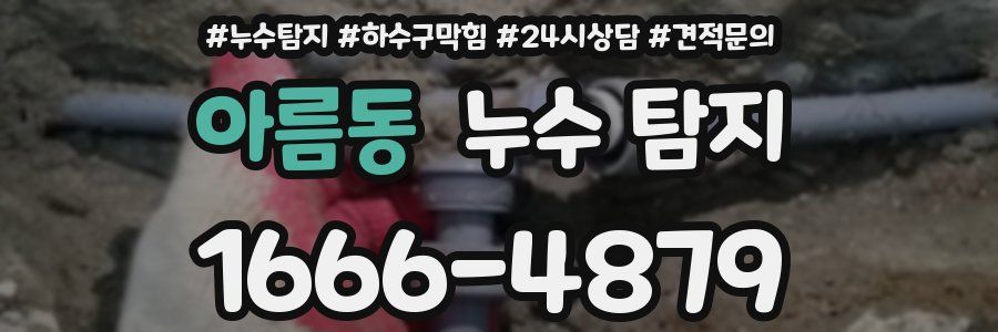 아름동 누수 탐지