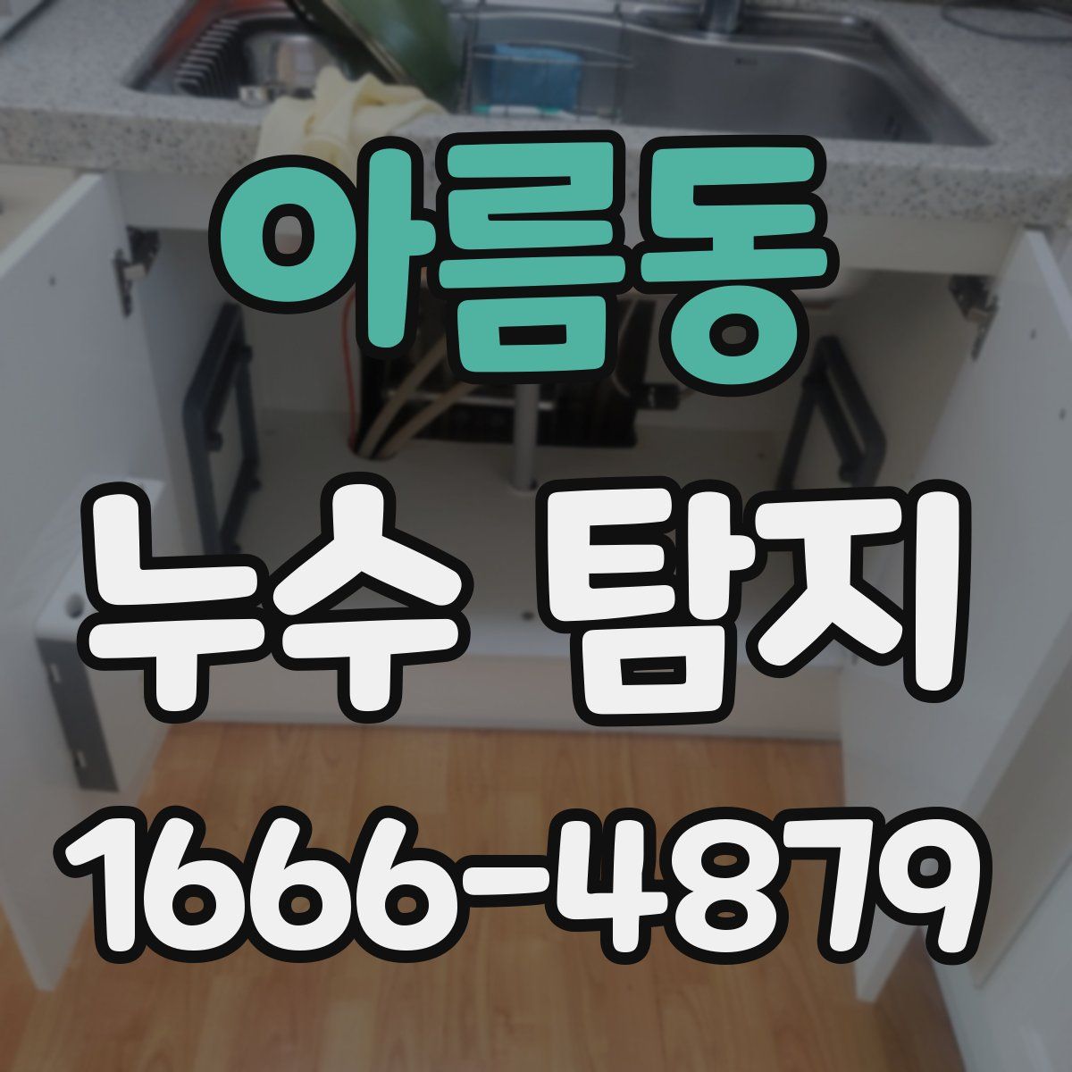 아름동 누수 탐지