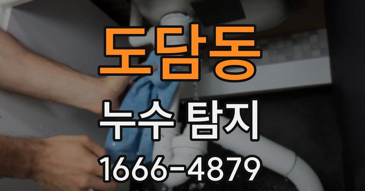 도담동 누수 탐지