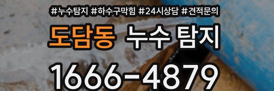 도담동 누수 탐지