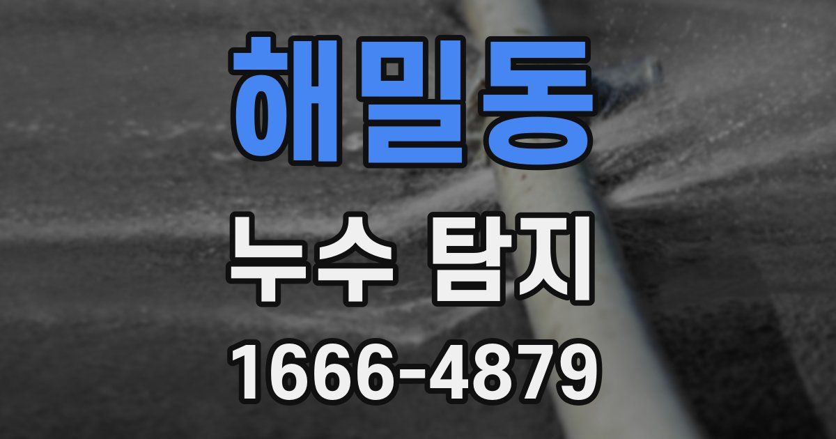 해밀동 누수 탐지