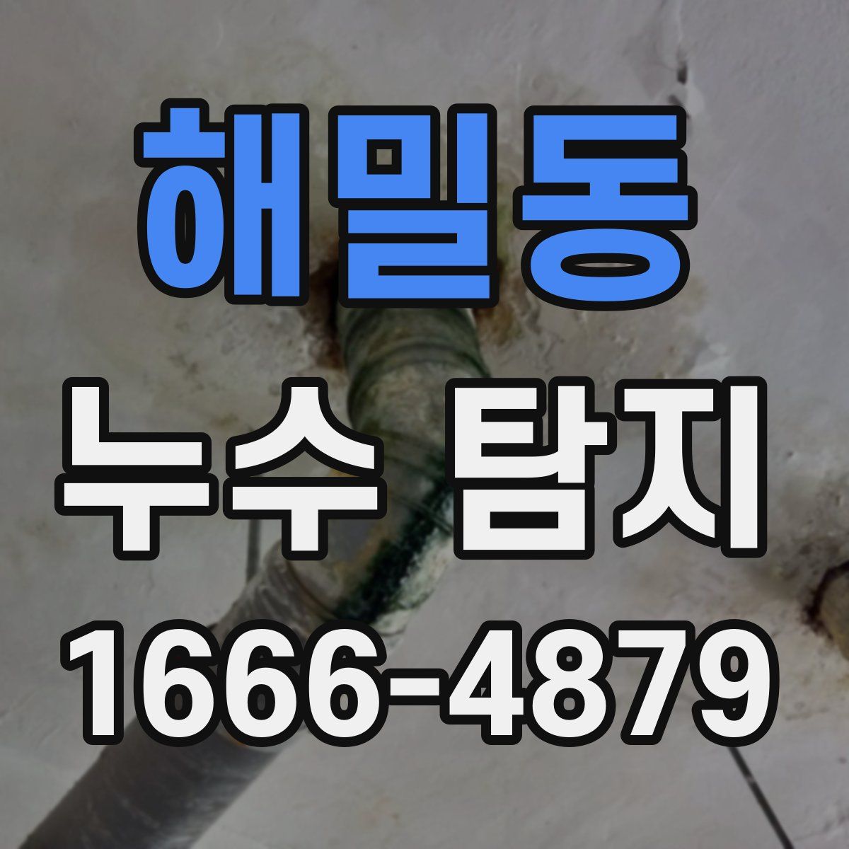 해밀동 누수 탐지