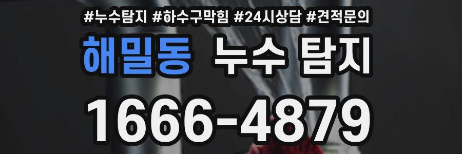 해밀동 누수 탐지