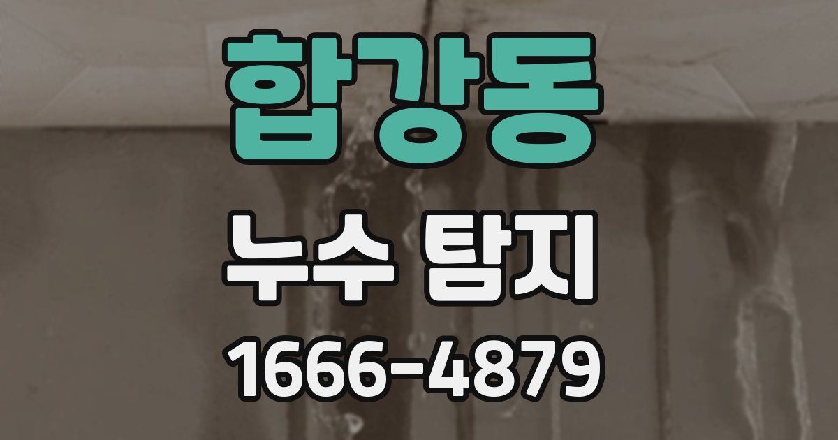 합강동 누수 탐지