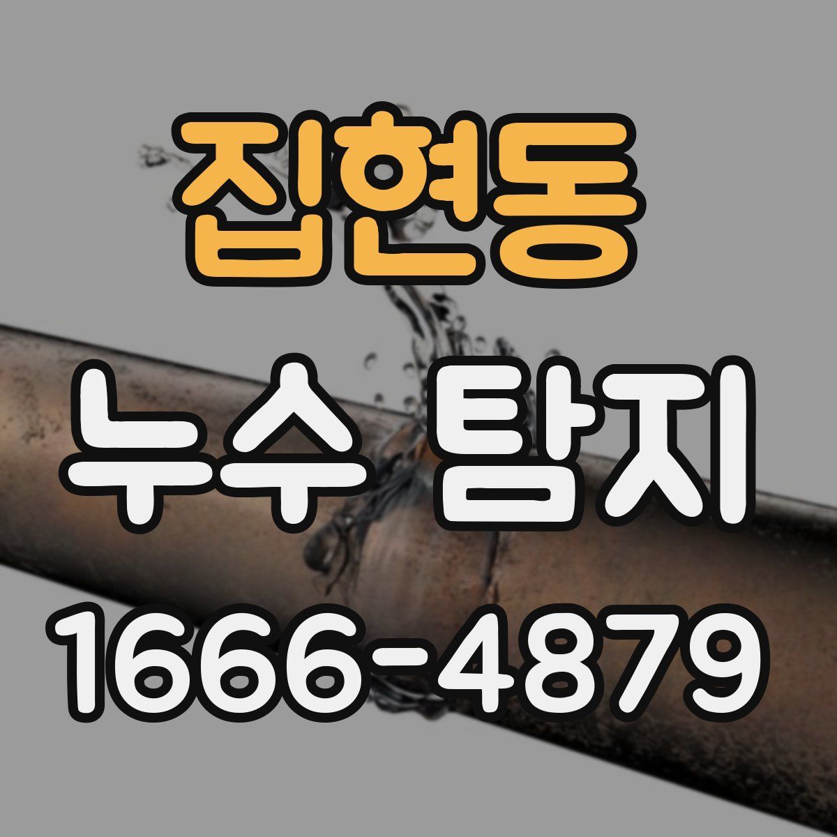 집현동 누수 탐지