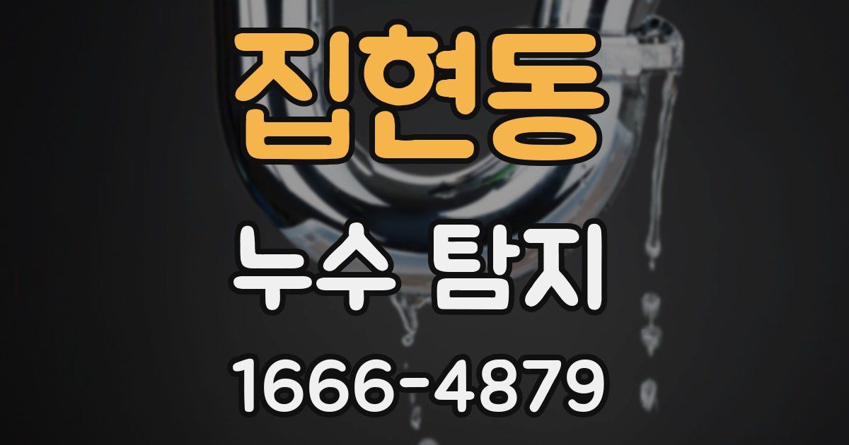 집현동 누수 탐지