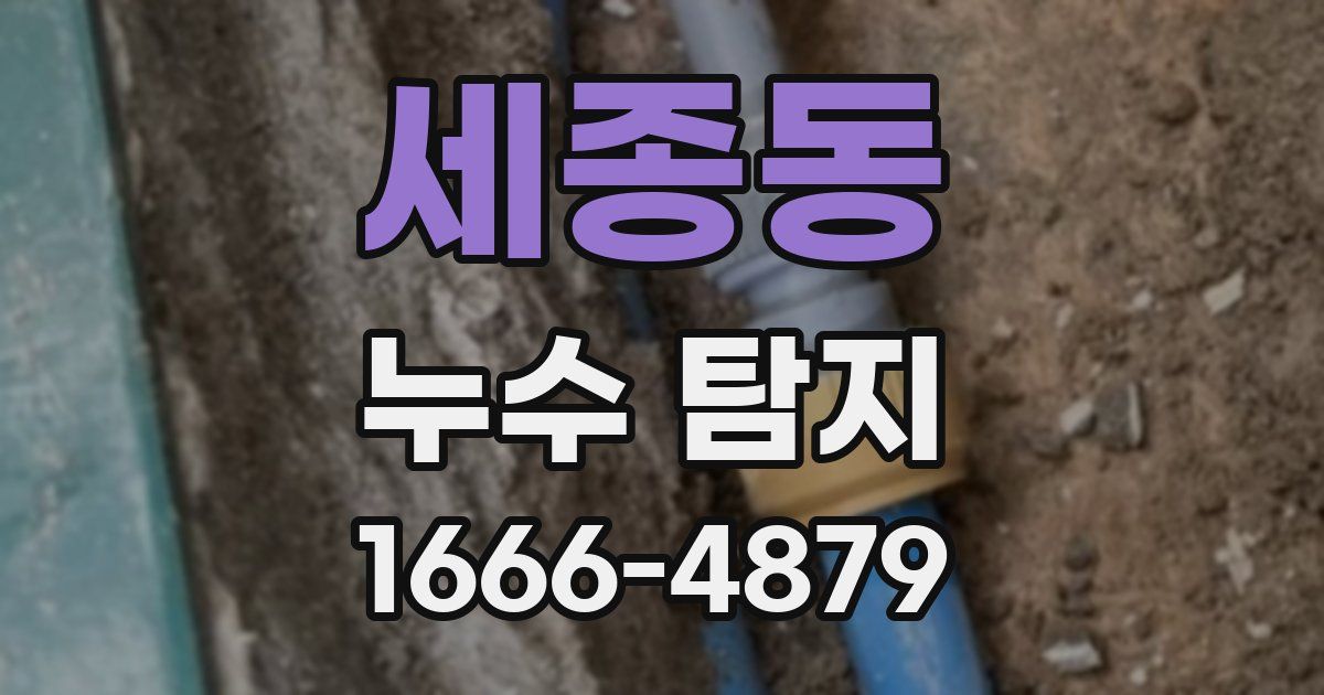 세종동 누수 탐지