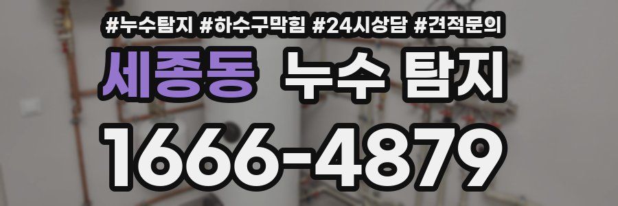 세종동 누수 탐지
