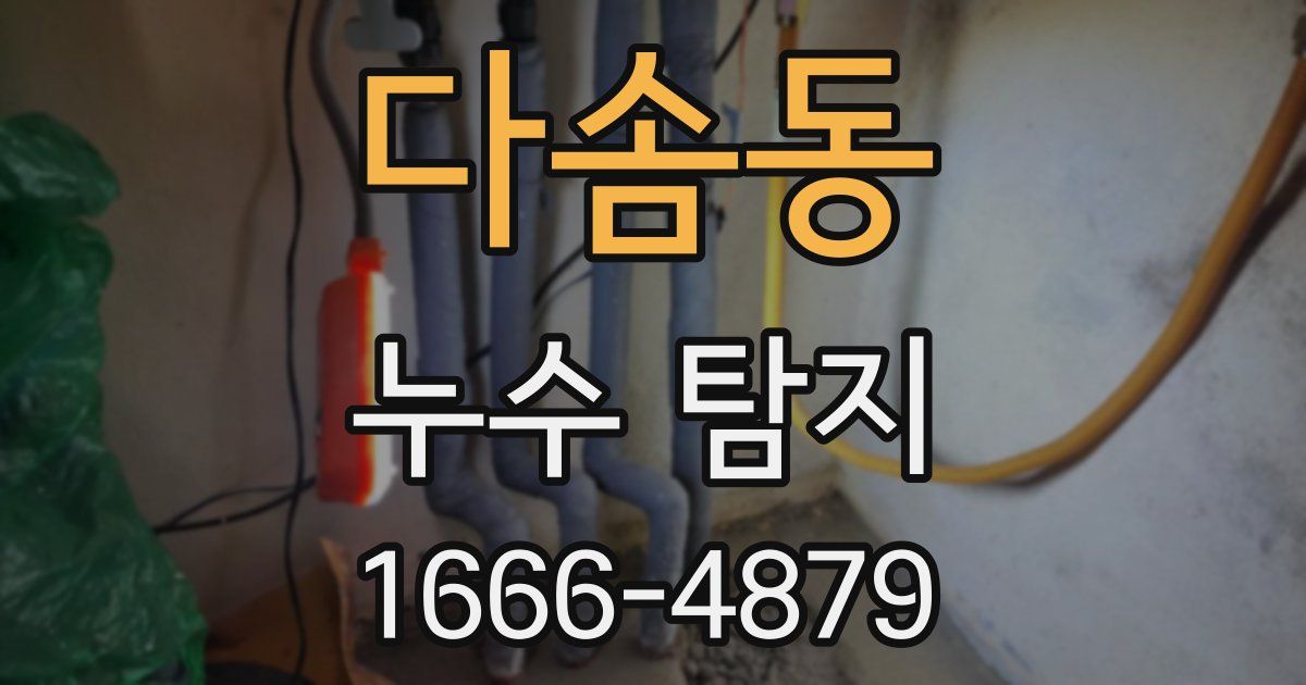 다솜동 누수 탐지