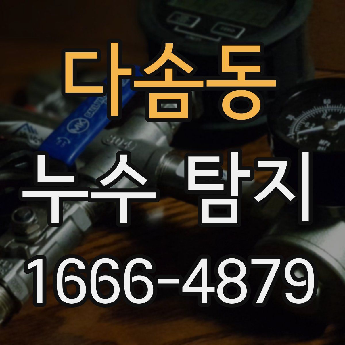다솜동 누수 탐지