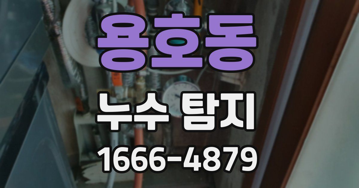 용호동 누수 탐지