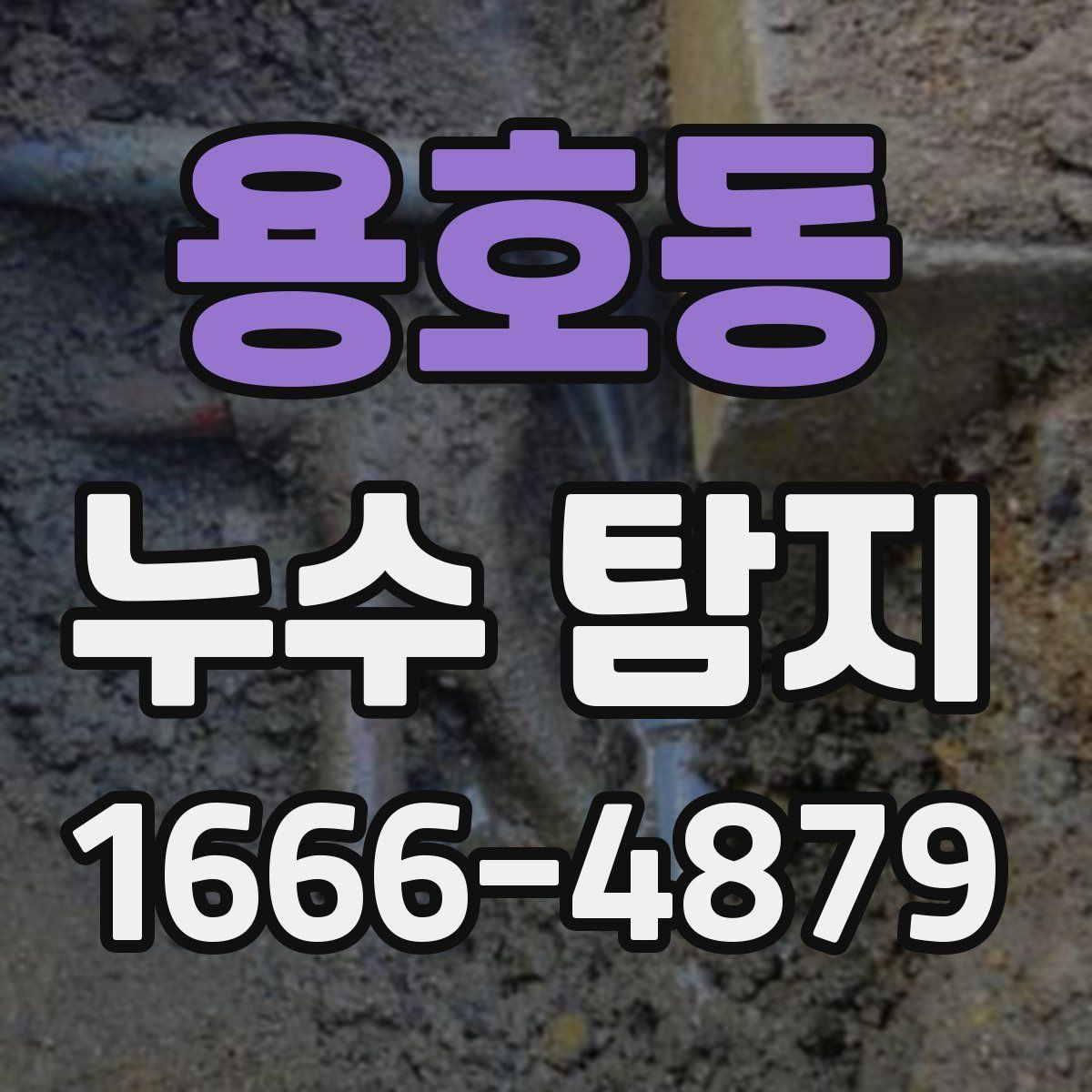 용호동 누수 탐지