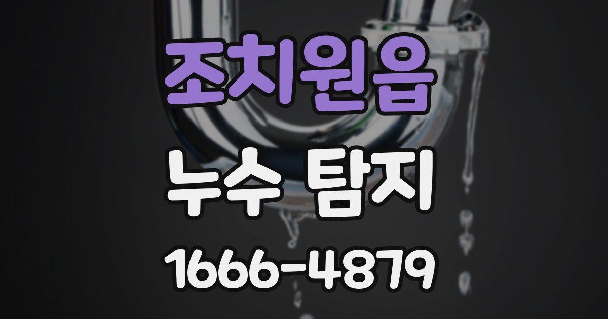 조치원읍 누수 탐지