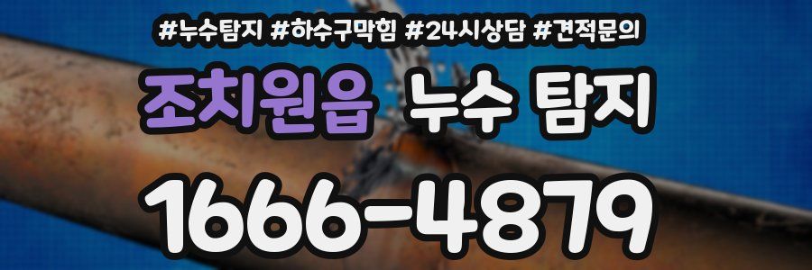조치원읍 누수 탐지
