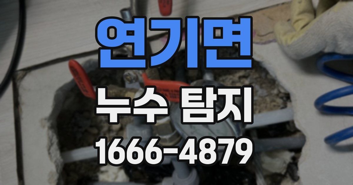 연기면 누수 탐지