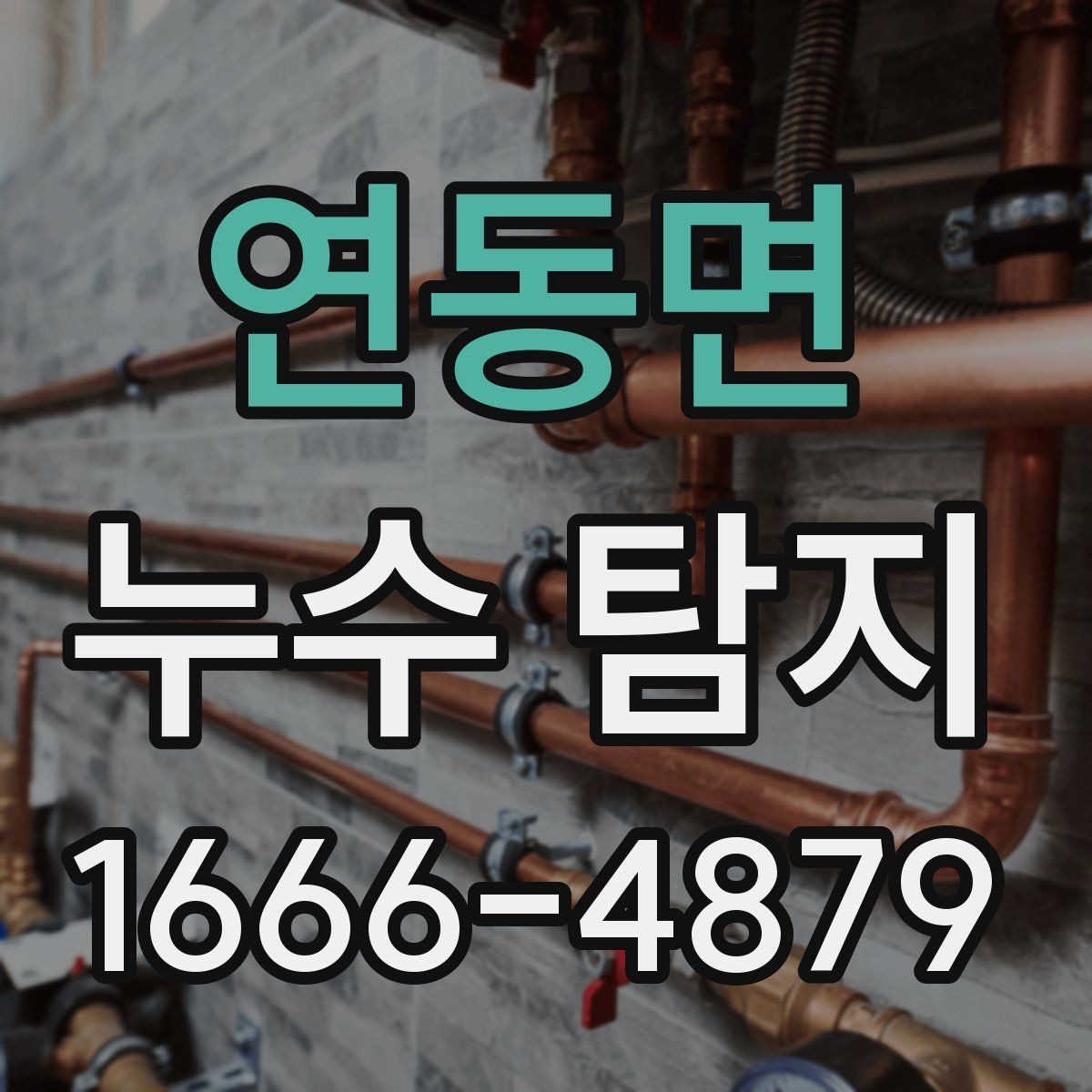 연동면 누수 탐지