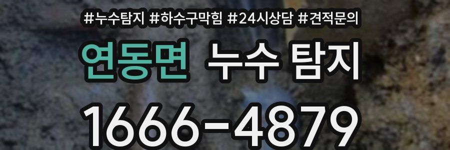연동면 누수 탐지