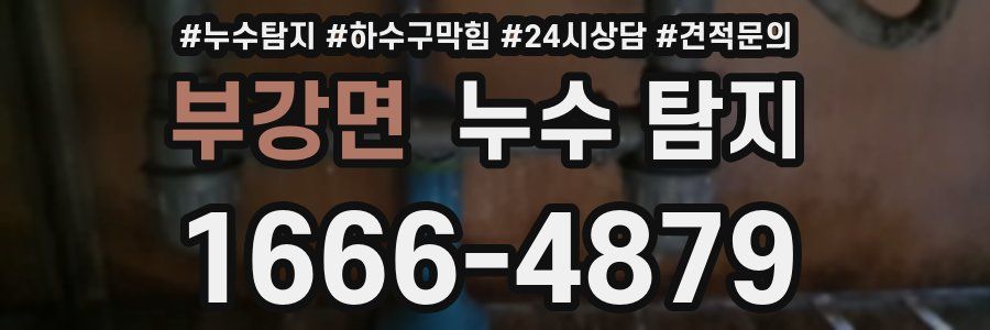 부강면 누수 탐지