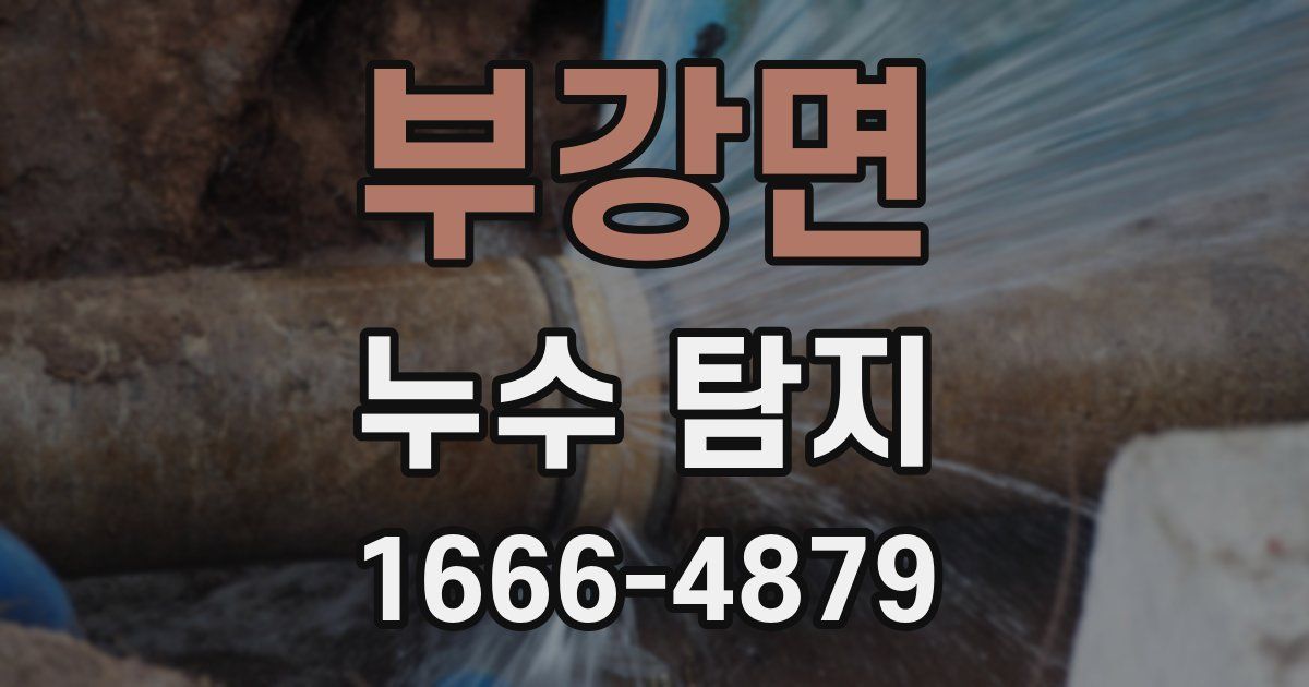 부강면 누수 탐지