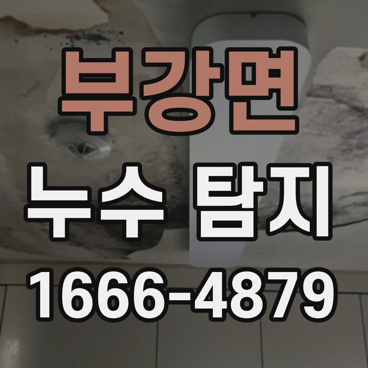 부강면 누수 탐지