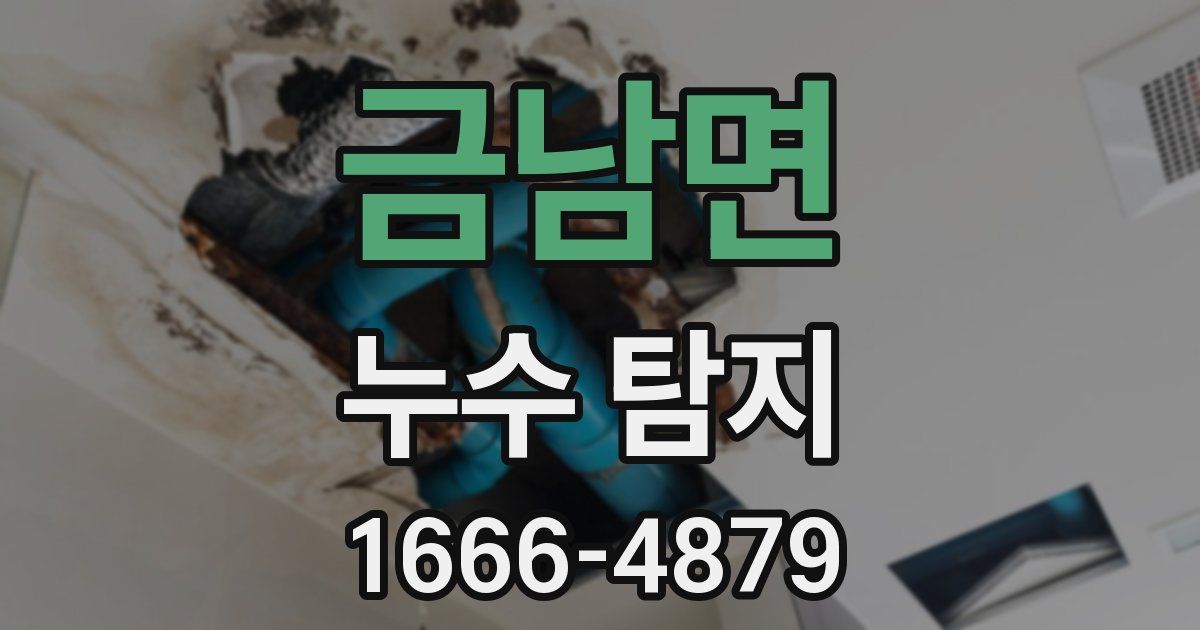 금남면 누수 탐지