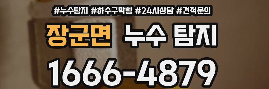장군면 누수 탐지