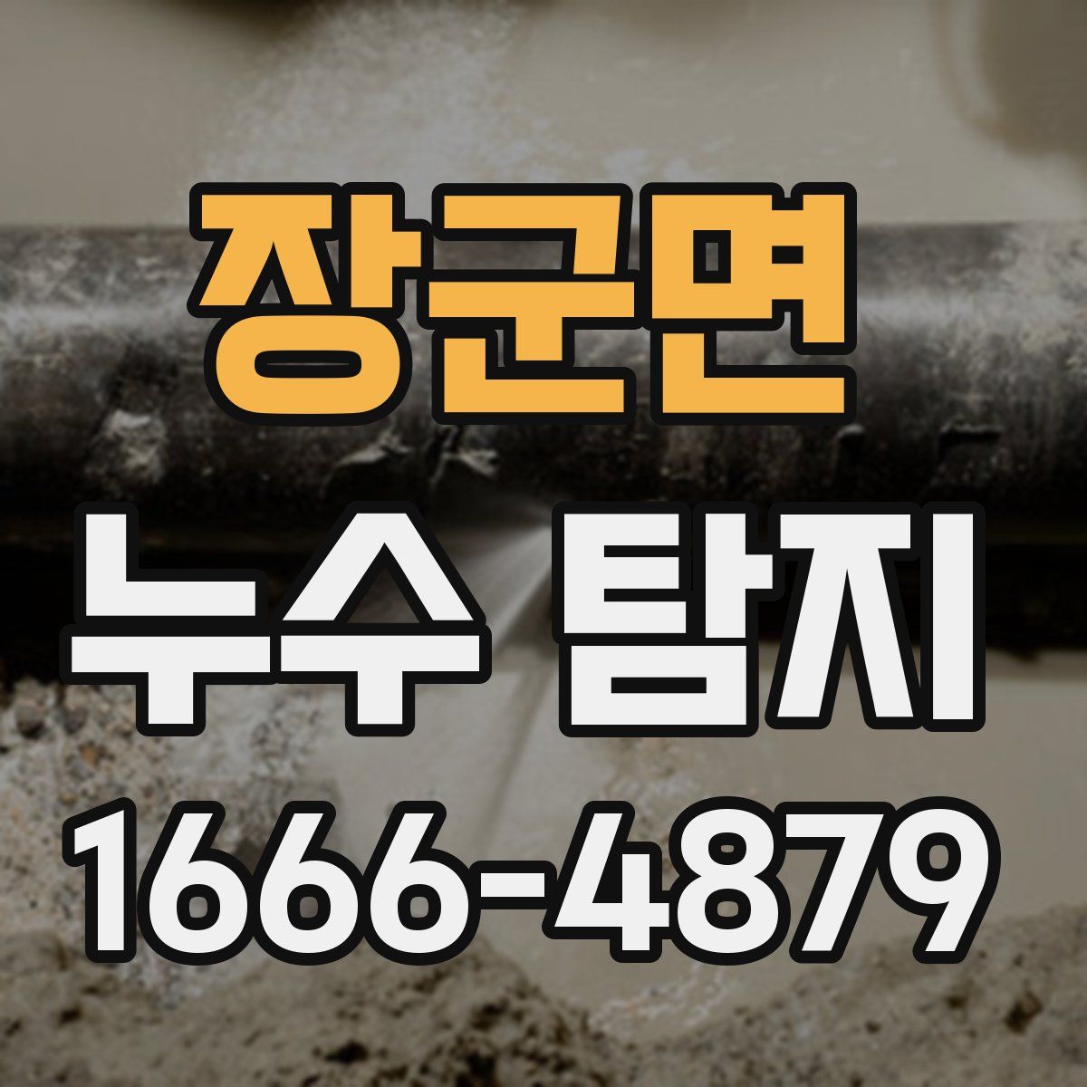 장군면 누수 탐지