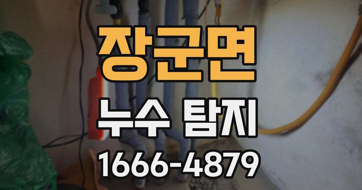 장군면 누수 탐지