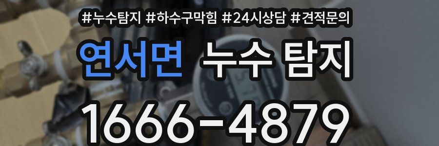 연서면 누수 탐지