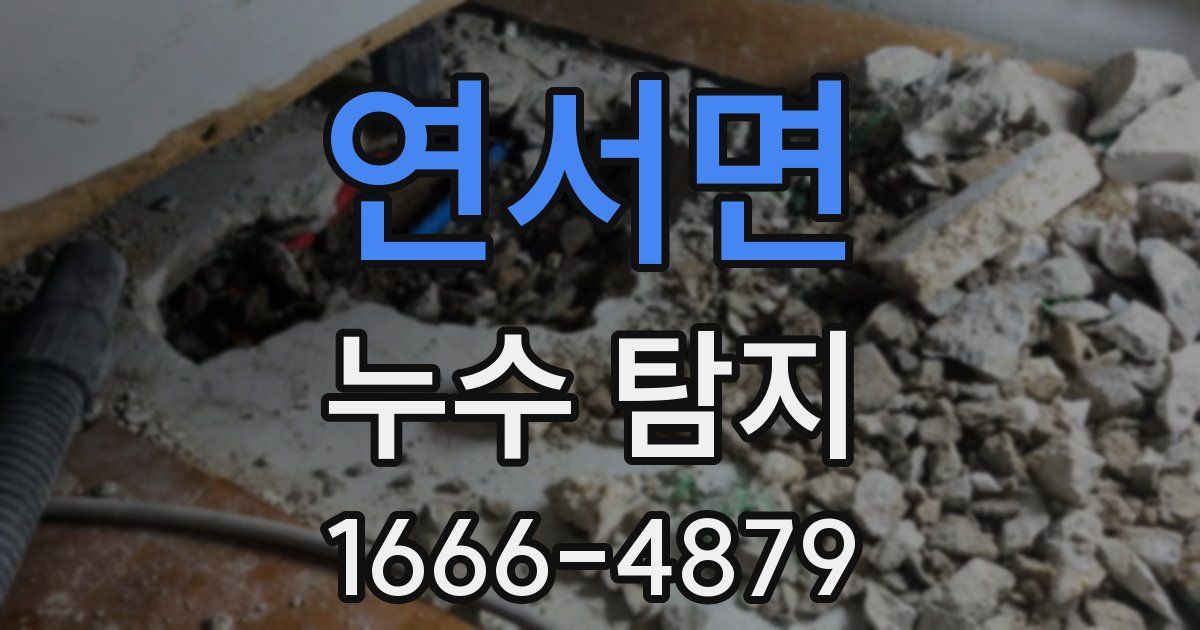 연서면 누수 탐지