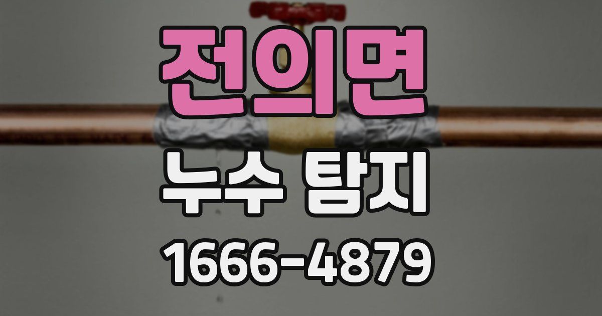 전의면 누수 탐지