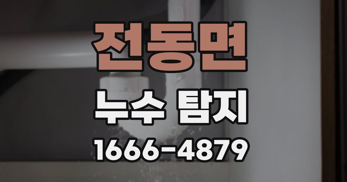 전동면 누수 탐지