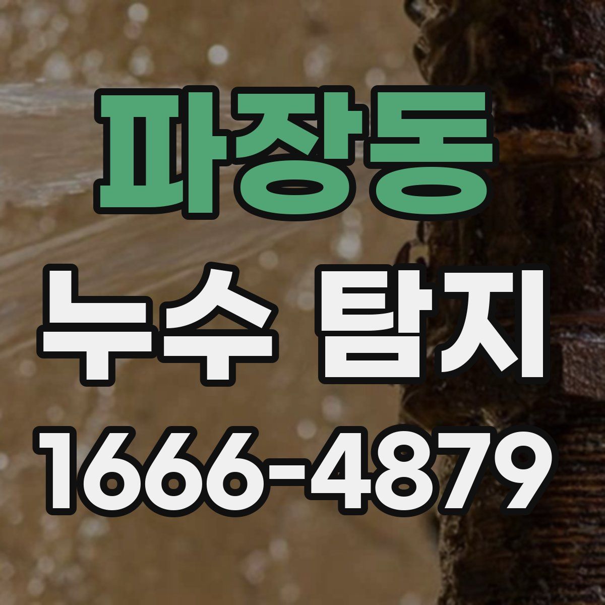 파장동 누수 탐지