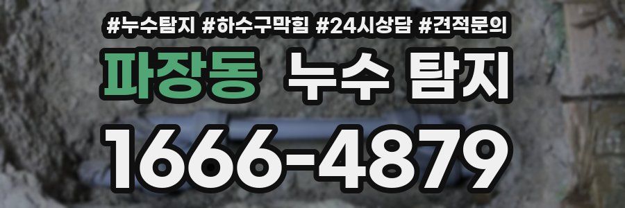 파장동 누수 탐지