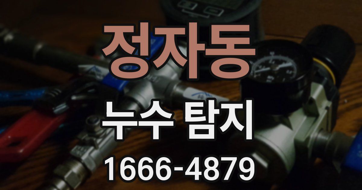 정자동 누수 탐지