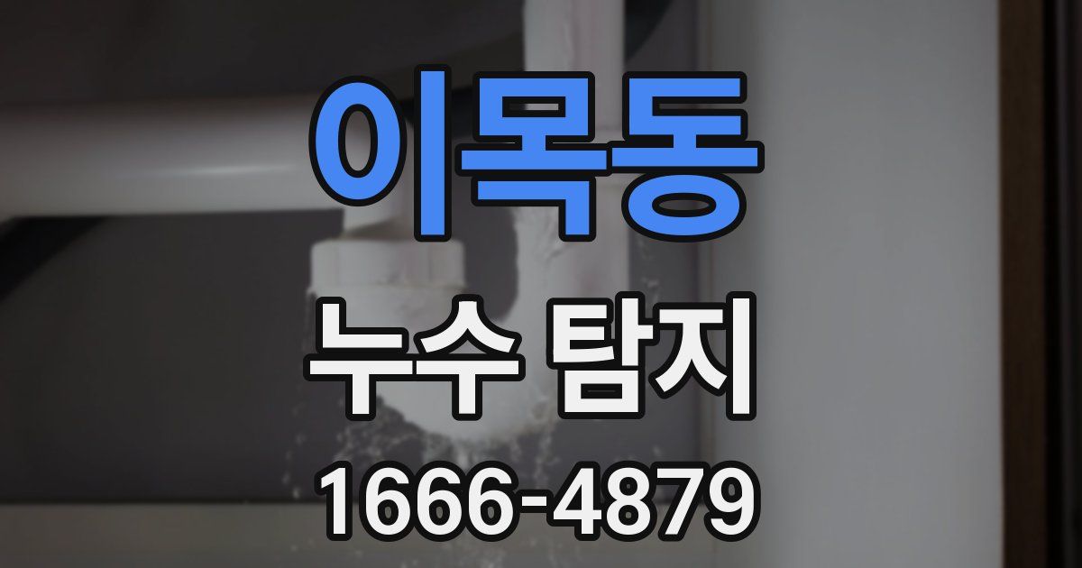 이목동 누수 탐지