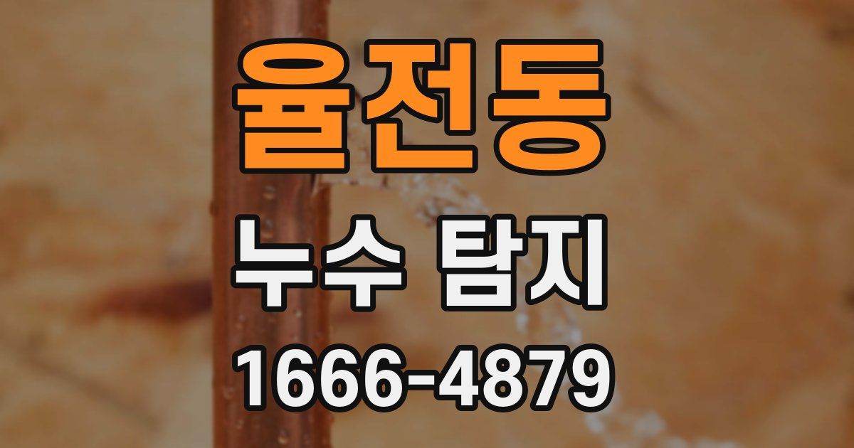 율전동 누수 탐지