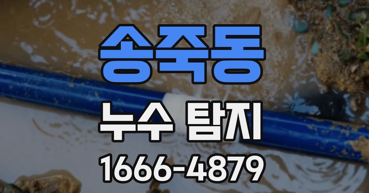 송죽동 누수 탐지