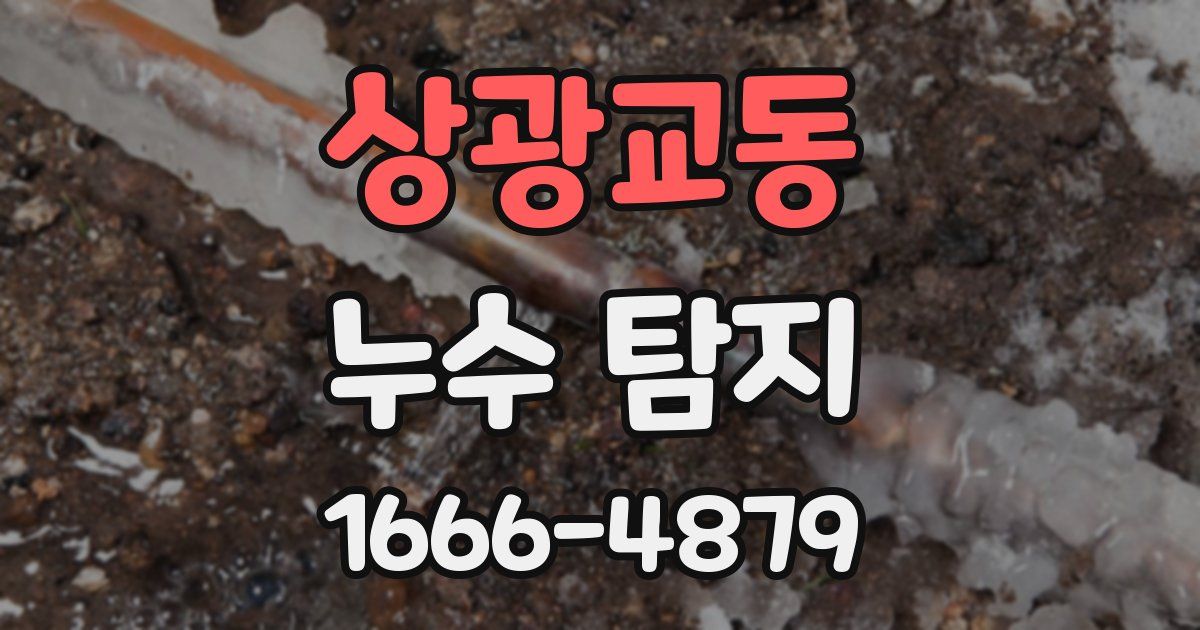 상광교동 누수 탐지