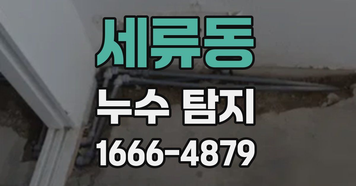 세류동 누수 탐지