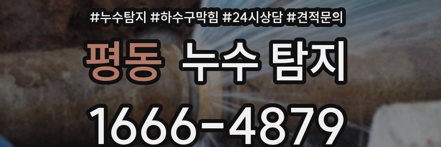 평동 누수 탐지