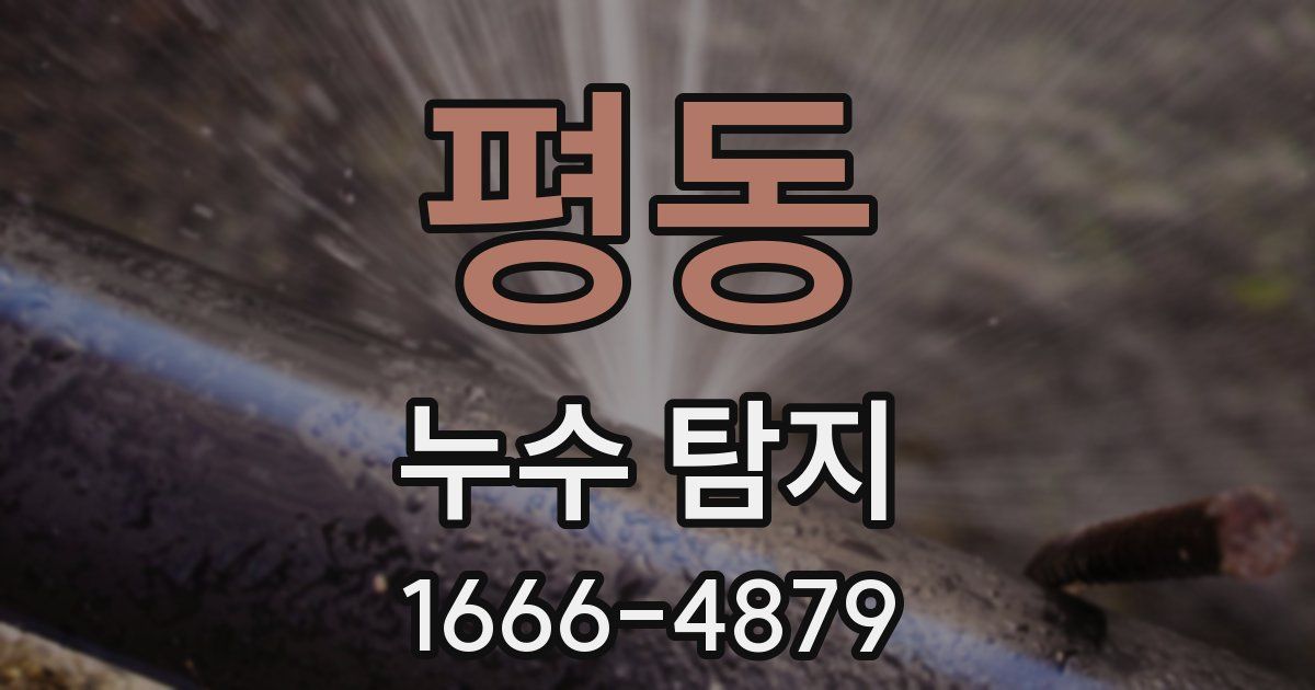 평동 누수 탐지