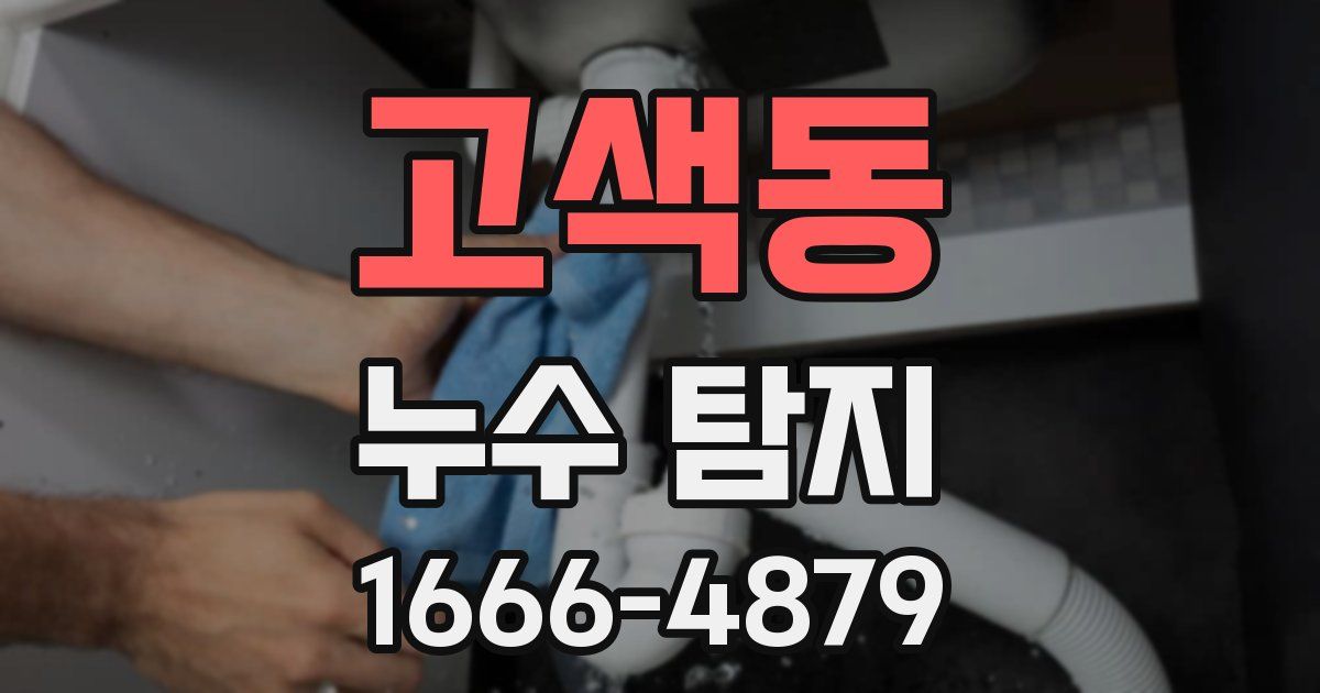 고색동 누수 탐지