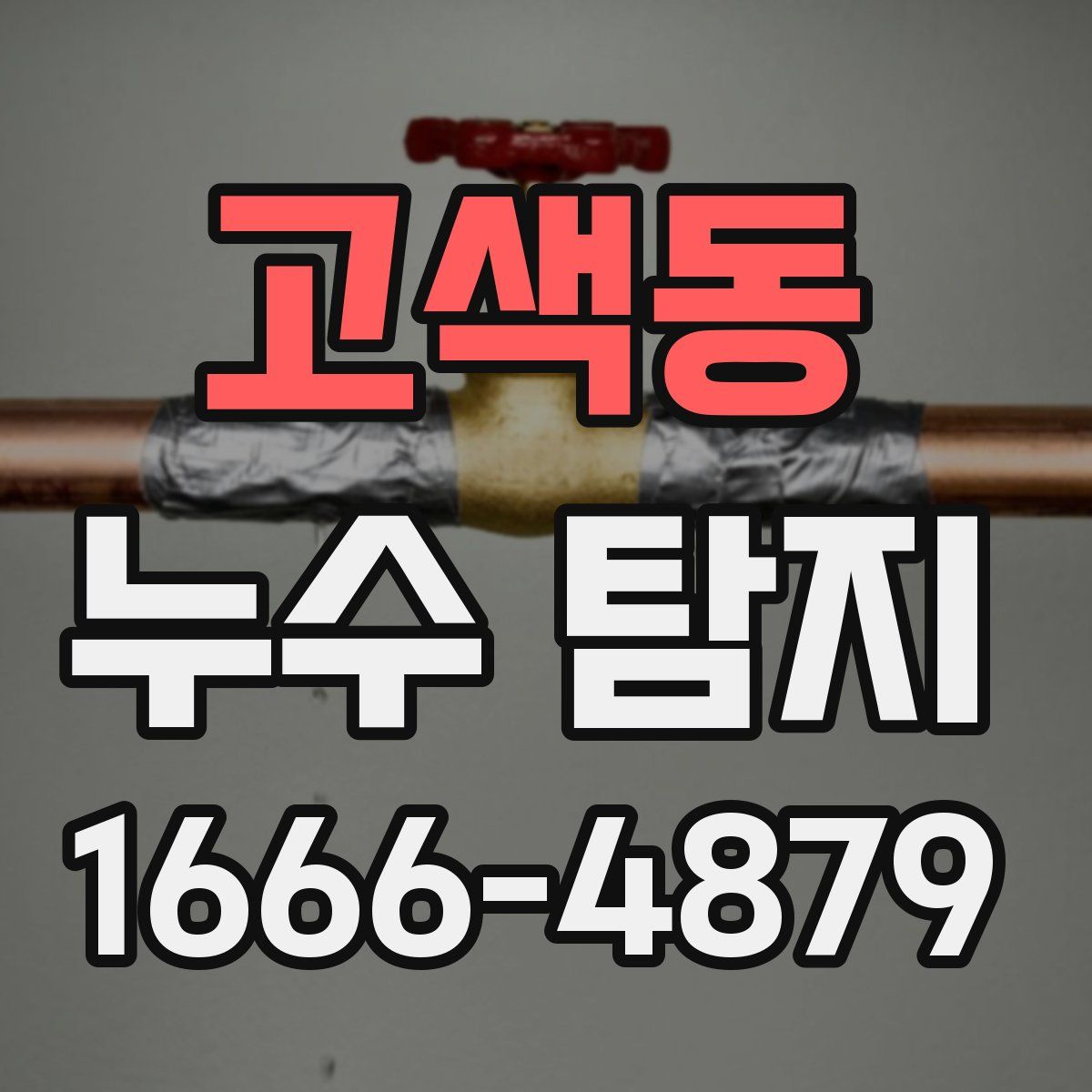 고색동 누수 탐지