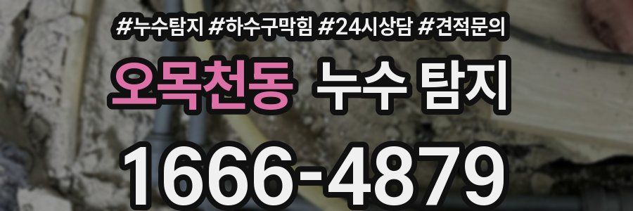 오목천동 누수 탐지