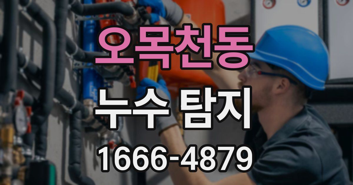 오목천동 누수 탐지
