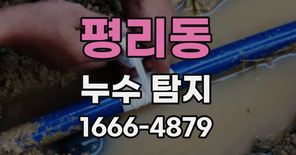 평리동 누수 탐지