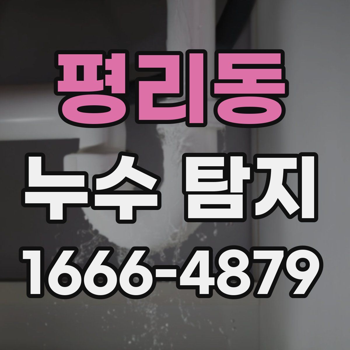 평리동 누수 탐지