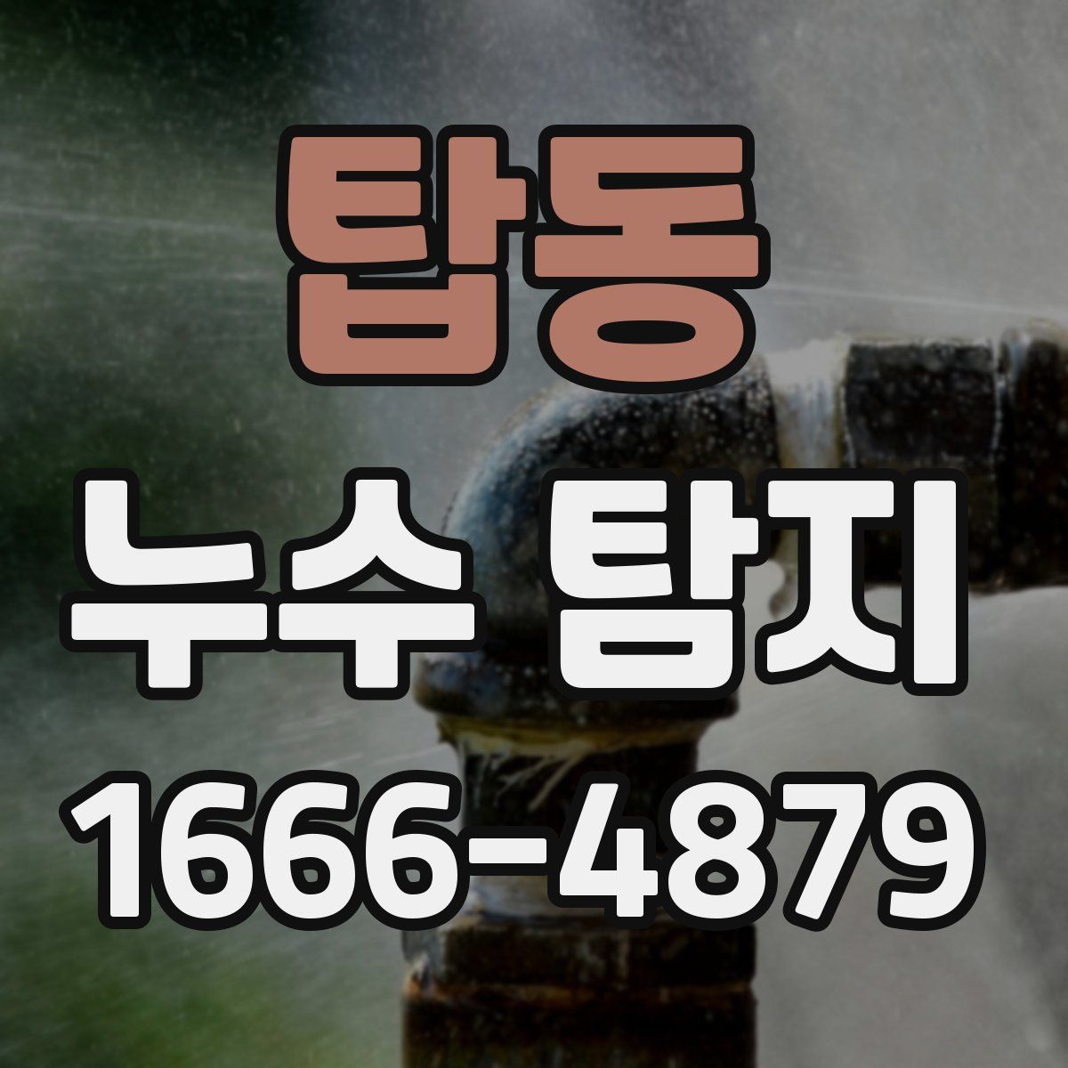 탑동 누수 탐지
