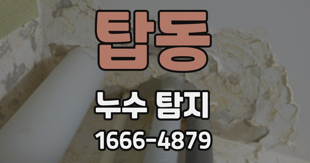 탑동 누수 탐지
